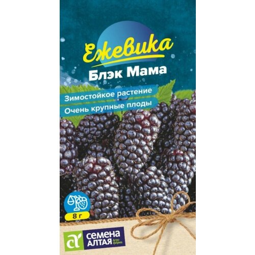 ������ ������ ������ ������� ���� ���� ������������� 0,03� (������ �����) ����