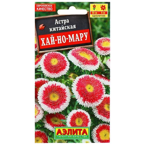 ������ ������ ������ ��������� ������ ����� ���-��-����, 0.1 � ����