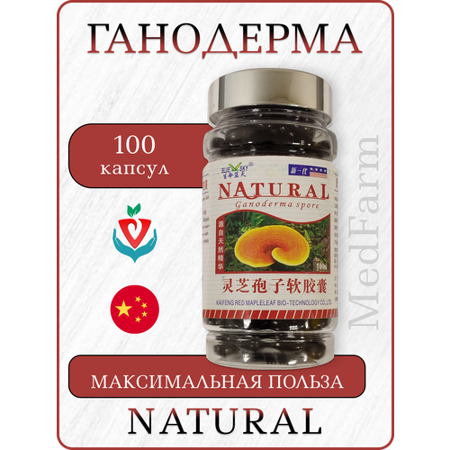 ������ ������ �������� Natural �������� ������, Ganoderma ���������, 100 ������ ����