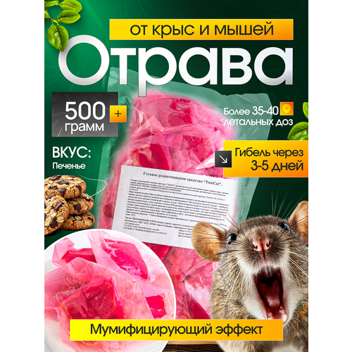������ ������ ��� ��� TomCat �����-������, �������� �� �������� (�����, ����) 500��, ���� ������� ����