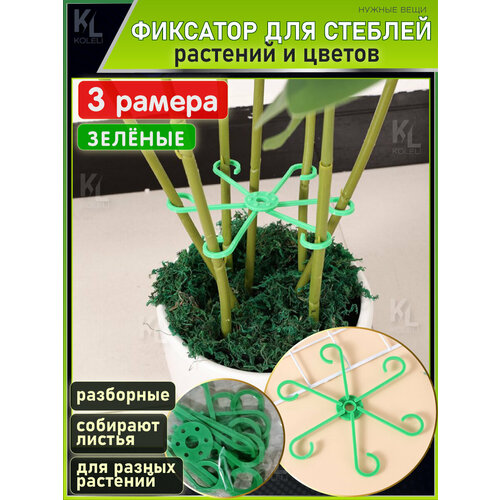 ������ ������ KoLeli / ������ ��������� ����� ��� ����� ������� �������� / ������ ��� ��������� � �������� ������� � �����, ������� ����