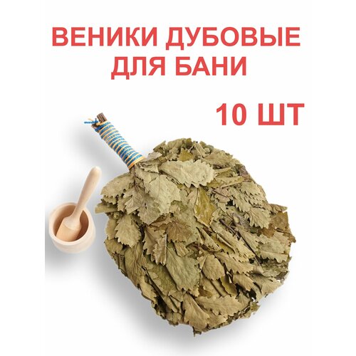 ������ ������ ����� ��� ���� �� ����������� ����, ��������, ����������, ��� �������, 10 ��. ����