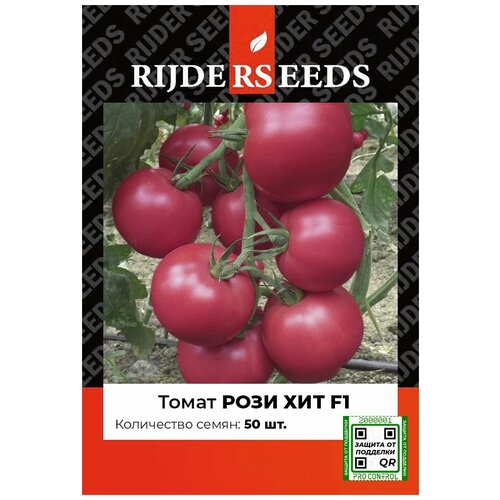 ������ ������ ������ ������ ���� ��� F1 - 50 �� - ������ ������. �� ����