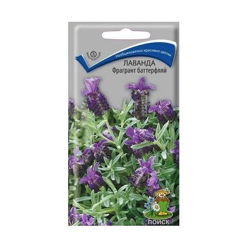 ������ ������ ������� �������� ���������� (20 �����), 2 ������ ����