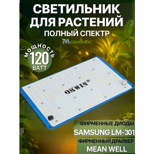 ������ ������ ���������� ��� �������� Q�win quantum board, 120 ���� Mean Well, ����� Samsung LM-301B, 288 ����. ������ ������ �� �� ����