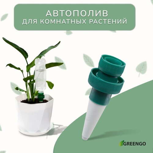 ������ ������ ��������� ��� ��������� ��������, ��� �������, ����� 2 ��, Greengo ����