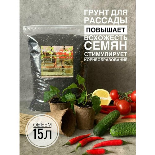 ������ ������ ����� ��� ������� 15 ������ � ���������� ������������� Terracotta Plants ����