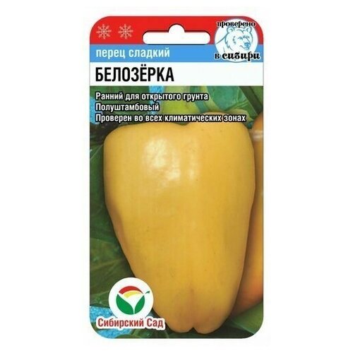 ������ ������ ����� ������� ��������� 15�� ����� ��������� ��� ����