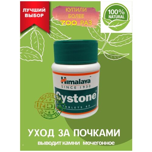 ������ ������ AYURVED-Cyston ��� ������. ����������� ������� ����