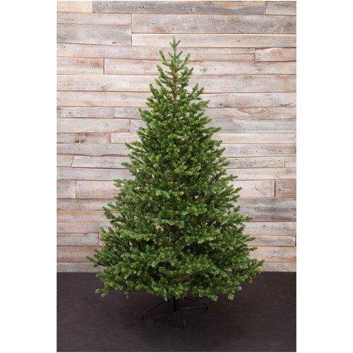 ������ ������ ���-����� ������������� Black Box ���� ������������� ���������, 230 �� ����