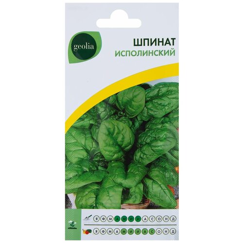 ������ ������ ������. ������ 