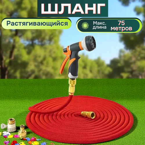 ������ ������ ����� ������� ��������������� 100 ������ ��� ������ � ������������/ 100 ������ ������� � ������������� ����������� ����