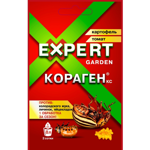 ������ ������ �������� ������ ���������� ������� 1 ��, �������� �� ������������ ���� ����