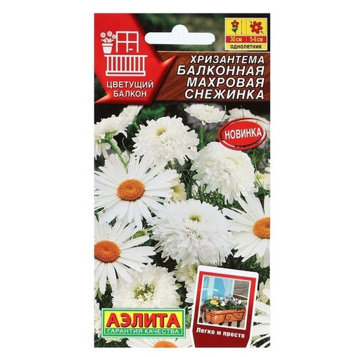 ������ ������ ������ ��������� ������ ���������� ��������� �������� ��������, 0,2 � ����