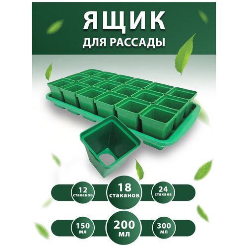 ������ ������ ����� ������� ��� ������� � �������� 0,2 � 18 �� ����