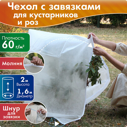 ������ ������ ����� ��� ����������� � ��� ������ 2 �, ������� 1,6 �, ����� ����