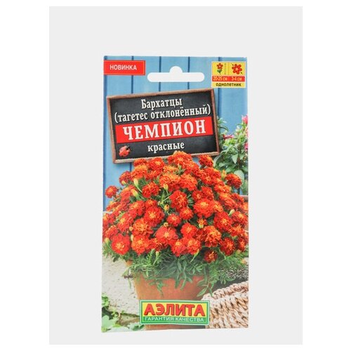 ������ ������ ������ �������� 