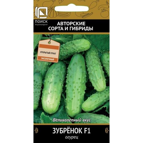 ������ ������ ������ ������ ����� ������ �������� F1 12 ��. ����