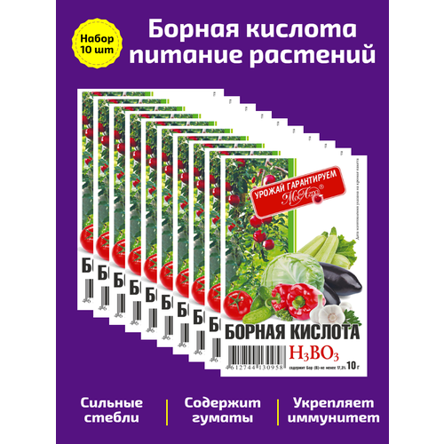 ������ ������ ������� ������� ����� 10*10 ��. �������� �������������� ��� ������� � �������������� �������� ����