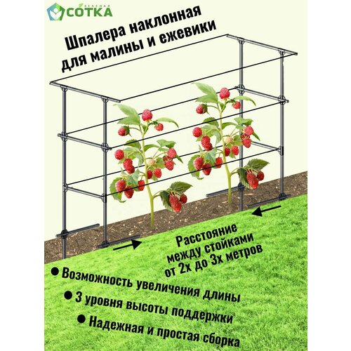 ������ ������ ������� ��������� ��� ������, ������� � ��������� ����