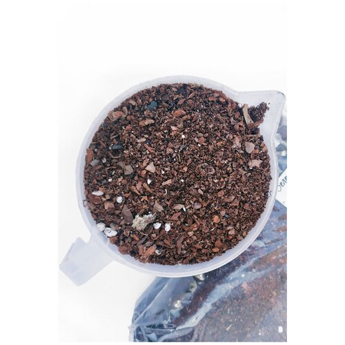 ������ ������ ����� ��� �������� 2 �����/ 12 ������� ����