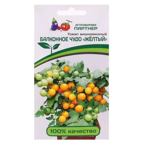 ������ ������ ������ ����� 