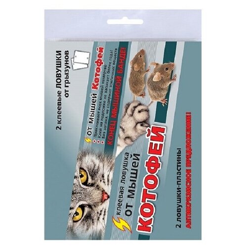 ������ ������ ������� ������� ���� ��������� �������, �������� 2�� 2 ��. ����