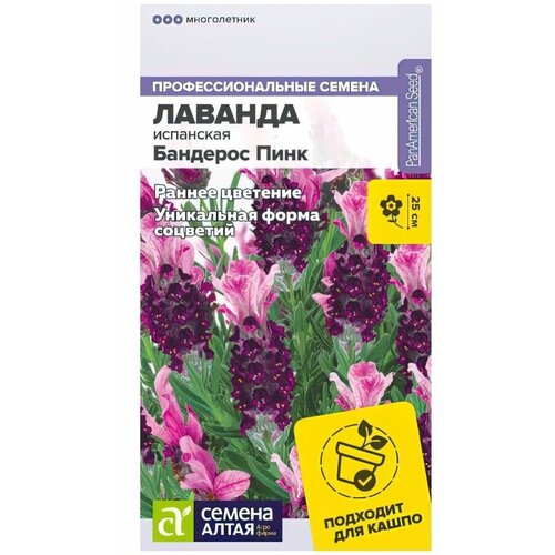 ������ ������ ������ ������� ��������� 