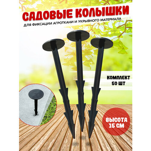 ������ ������ ������� ������� ��� ��������� 50 �� ����