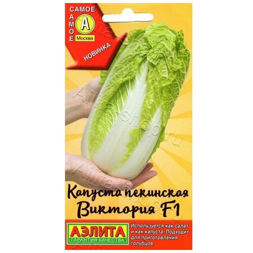 ������ ������ ������. ������� ��������� 