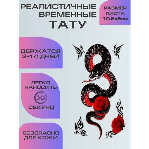 ������ ������ ���������� ����������, ���� ��������� ���� � ���� ����