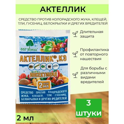 ������ ������ �������� ������ �������� �������� ����