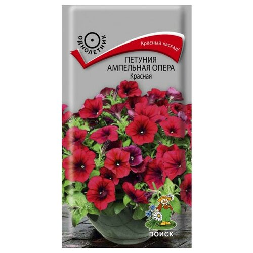 ������ ������ ������ ����� ������� ��������� ����� ������� 5 ��. ����