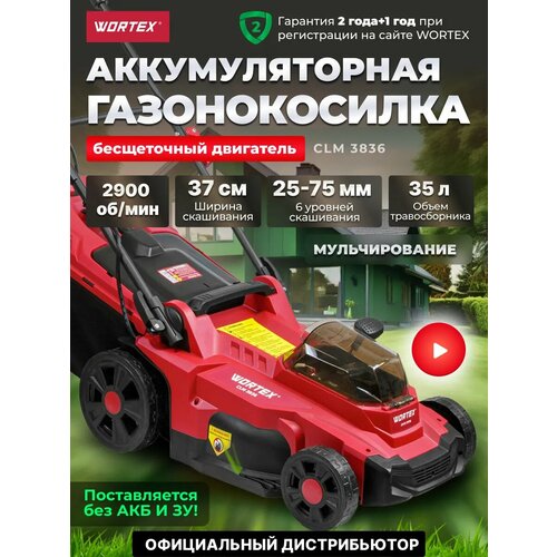 ������ ������ ������������� �������������� WORTEX CLM 3836 ALL1 SOLO ��� ��� � �� ������ ��������� 34 ��, ������������ 35 � (0333235) ����