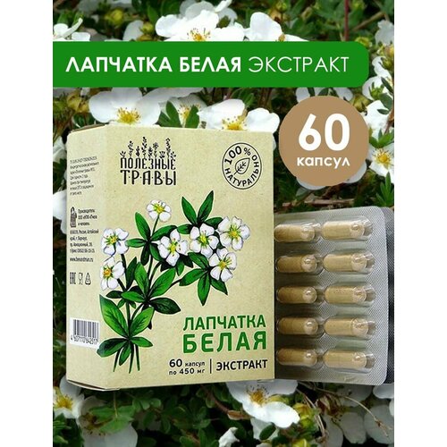 ������ ������ �������� �����, �������� ��� ���������� ������ 60 ������ ����