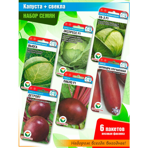 ������ ������ ����� ����� ������� � ����� ������ �� ���������� ���� (6 �����) ����