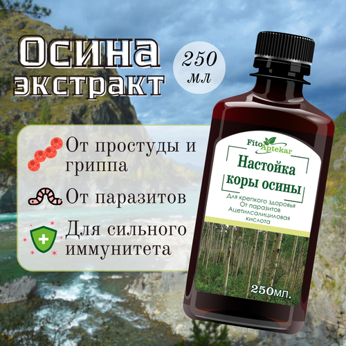 ������ ������ �������� ���� ����� 249�� ����