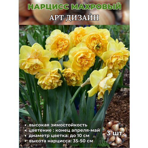 ������ ������ ������� ��������. �������� 3 ����� ����