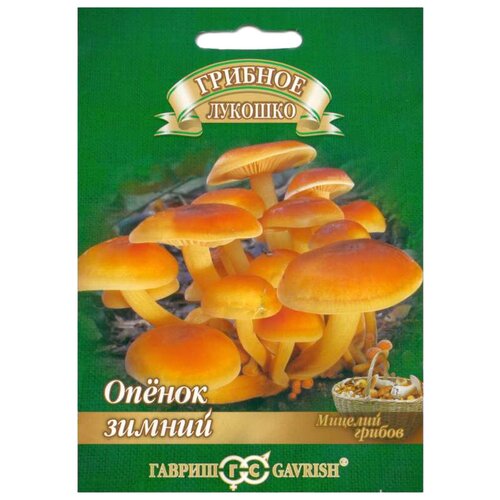 ������ ������ ������ ������ ������ �� ��������� ������� 12 �� ����