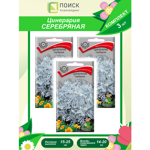 ������ ������ �������� ����� ��������� ���������� �������. � 3 ��. ����