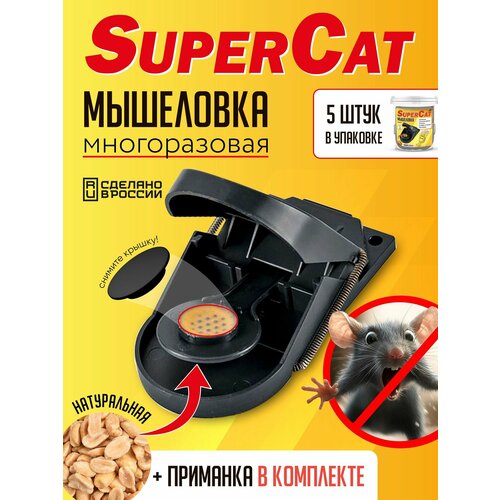 ������ ������ ����������� ��������� SuperCat, 5 ��. ����