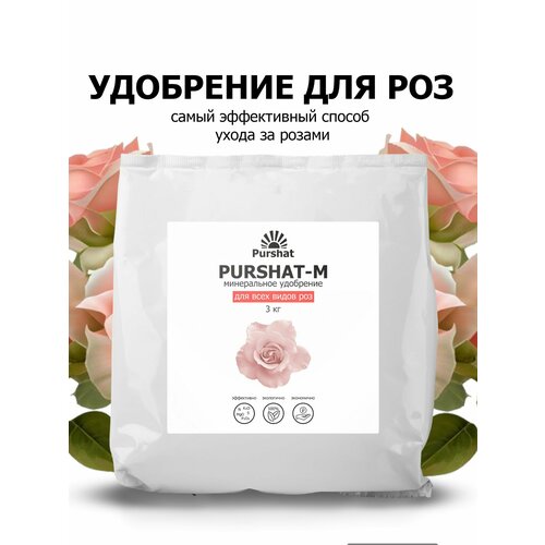 ������ ������ ��������� ������ ��� ��� � ������ 3 �� ����