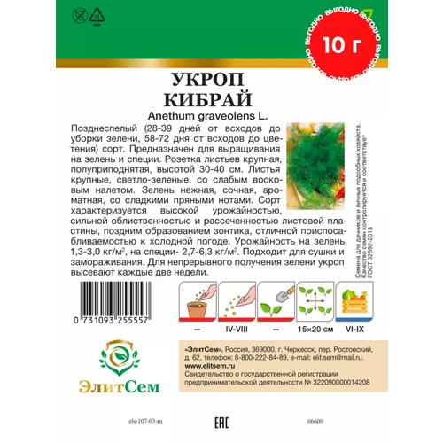 ������ ������ ������ ����� ������ BIG �������� XXXL 10 � (�������) ����