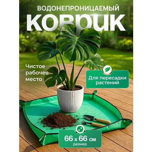 ������ ������ ������ ��� ��������� �������� iulkapu, ��� �������, �������, ����������, 66 �� � 66 �� ����