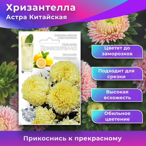 ������ ������ ������ ����������� 