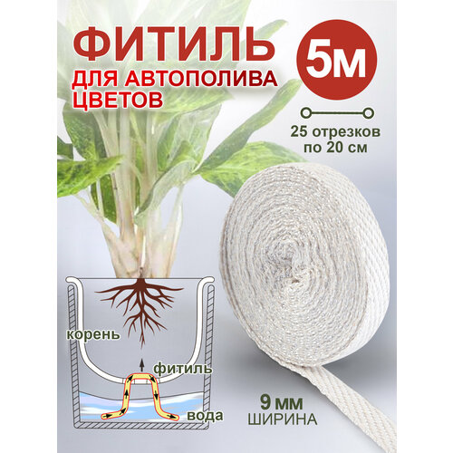 ������ ������ ������ ��� ������ ������ 5 � ����