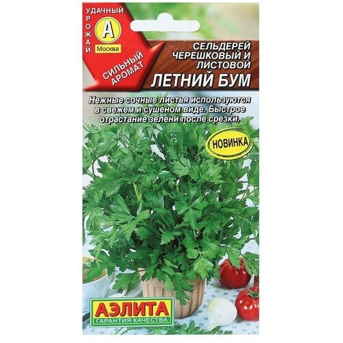 ������ ������ ������ ��������� �������� 