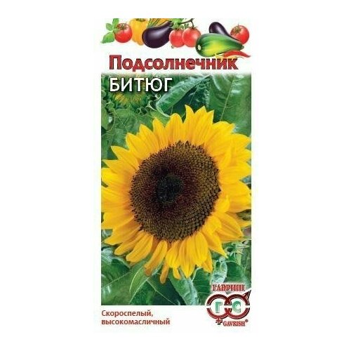 ������ ������ ������ ������������ �����, 10,0�, ������, ������� ��������� ����