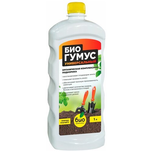 ������ ������ �������� ���-��������, 1 � ����