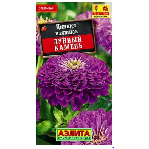 ������ ������ ������ ������ ������ (0,3 �), 2 ������ ����